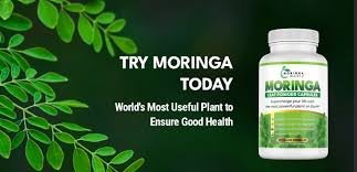 moringaimagem